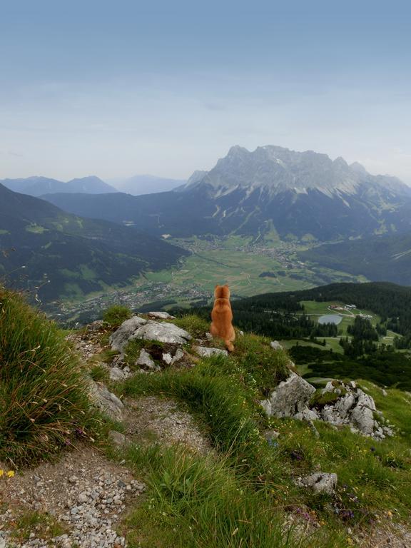 Hotel Haus Bergfrieden Lermoos Exteriér fotografie